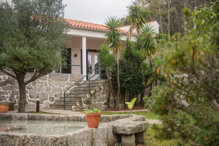 Casa 1B: Garden with old stone trough and olive tree