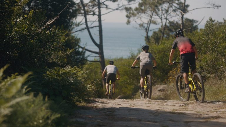 Mountain bikers on a trail
