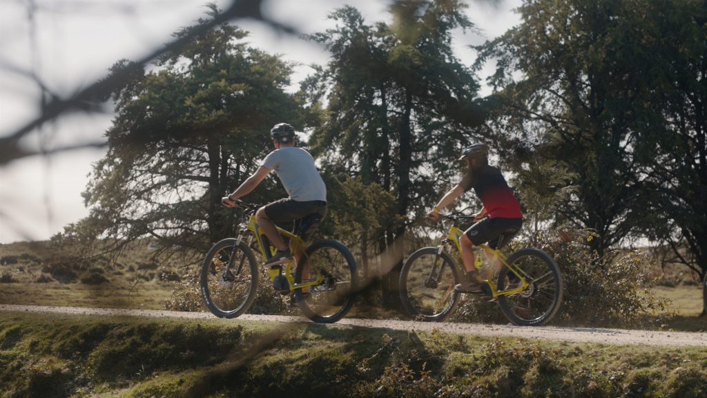 Two cyclists on a gravel path between pine trees